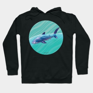 Whale Shark V2 Hoodie